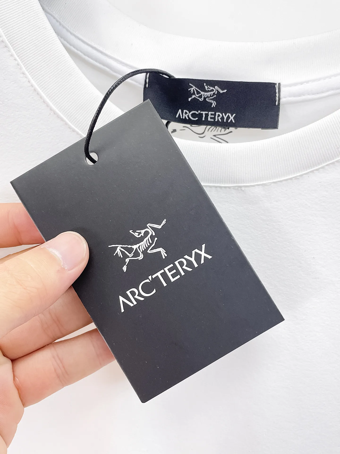 🐮2026 New Arrival New Arrival T Premium ！ logo Premium . . . . . ！ ！Sizes：M-XXXL